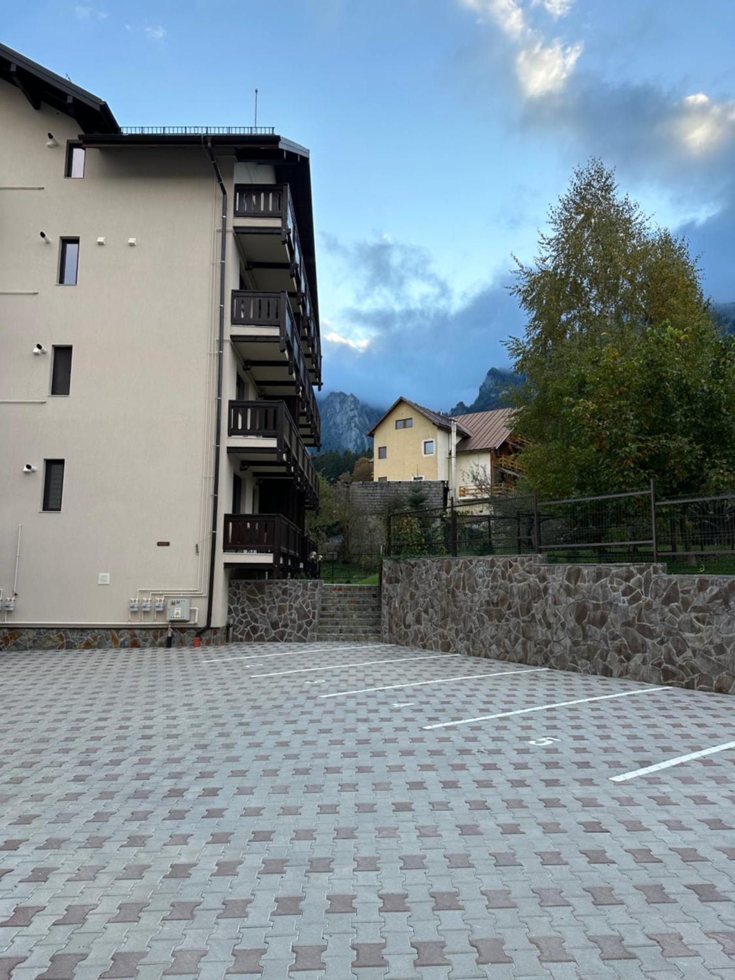 The View Apartment 3 Busteni Exterior photo